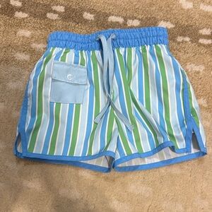 Smockingbird Striped Blue and Green swim Shorts